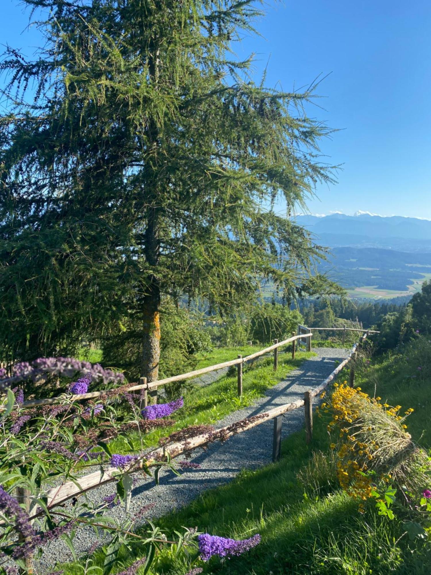 Gipfelhaus Magdalensberg Hotell Sankt Veit an der Glan Exteriör bild